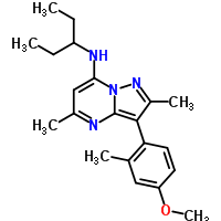 DMP 904